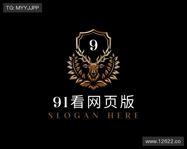 介绍91看网页版